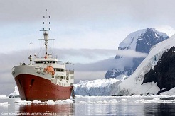 Antarctic Dream. Внешний вид